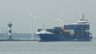 Scheepvaart in Rotterdam  Shipspotting  Hoek van Holland  Tweede Maasvlakte  Zeeschepen [upl. by Tamma]