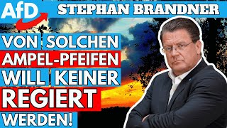 SENSATIONELLE REDE Stephan Brandner AfD Parteitag in Essen [upl. by Efthim]