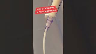 How You Wake From Anesthesia [upl. by Delgado]