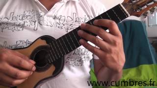 El Puelche en charango Tutorial [upl. by Elysee13]