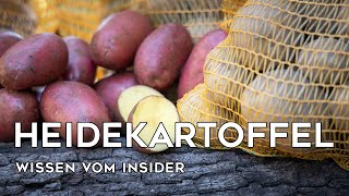 Insiderwissen zu den Heidekartoffeln  Interview mit Kartoffelbauer Tewes [upl. by Glimp79]