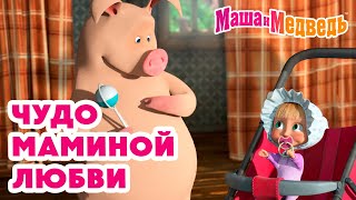 Маша и Медведь 🤱 Чудо маминой любви 🥰 💝 Коллекция любимых серий про Машу 🎬 Час мультиков [upl. by Christoper]