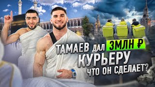 Тамаев Дал Курьеру 3 млн На что потратит Деньги [upl. by Enaud]