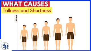 📏 What Causes Tallness and Shortness [upl. by Neila]