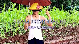 Team Tomodachi Burmese RemixDyampmIX [upl. by Drannek430]