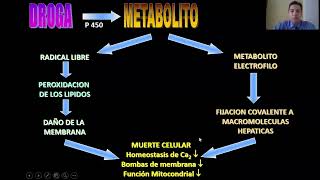 HEPATOTOXICIDAD POR MEDICAMENTOS [upl. by Nattie240]