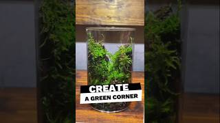 Create a green corner in your home with Terrarium terrarium design [upl. by Riella]