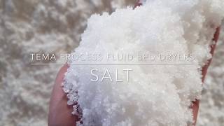 Salt Dryers  Coolers  TEMA Process Fluid Bed Dryers [upl. by Ejroj]