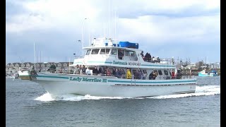 Cod Pollack and Haddock on the Eastmans Fleet [upl. by Eidnac]