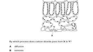 biology  plant nutrition MCQS from past papers part 1 [upl. by Hnid]