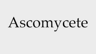 How to Pronounce Ascomycete [upl. by Huxham]