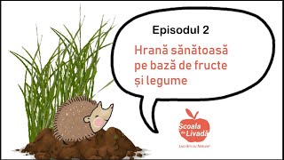 Hrană sănătoasă pe bază de plante fructe legume  ȘCOALA DIN LIVADĂ  Seria educațională ep 2 [upl. by Ojadnama805]