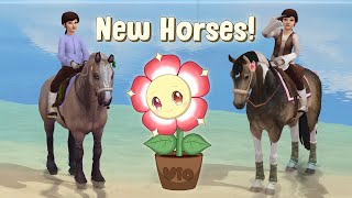 Rune Runner Buying 2 New Horses D Star Stable [upl. by Bohner]