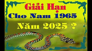 Nam 1965 Ất Tỵ trong năm 2025 có Hạn gì  Cách hóa giải để bình an [upl. by Ahsilrae]