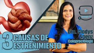 ❌💩ESTREÑIMIENTO  causas y síntomas  Dra Gladys Saenz coloproctologa [upl. by Yecnahc252]