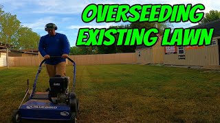 3 Easy Steps To Overseed Your Existing Lawn [upl. by Mufinella]