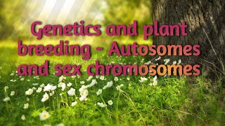 Autosomes and sex chromosomes [upl. by Naimed]