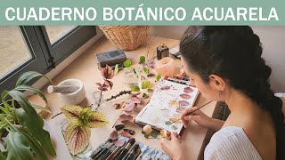 Mi primer cuaderno botánico  Vida lenta arte y naturaleza 🎨 🍂 [upl. by Nyliram26]