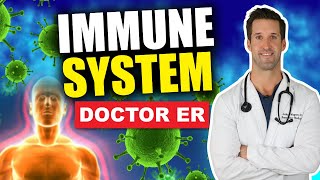 How Do You Boost Your Immune System – Immune System Explained  Doctor ER [upl. by Anair923]