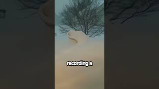 Snow time lapse during blizzard [upl. by Aisila]