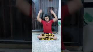 Bhastrika Pranayam ll Pranayam ll How to do Bhastrika Pranayam ll Bhastrika Pranayam kaise Kare ll [upl. by Nahshun]