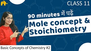 Basic Concepts of Chemistry Class 11 2  Mole Concept  in Hindi [upl. by Christabelle]