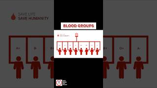 Blood Group Matching 🩸 [upl. by Suinuj]