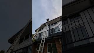 Hoisting solar panels to the roof of a house with a ladder and a sled rooftopsolar [upl. by Dinsdale234]