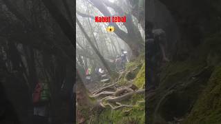 Trek gunung gedeshort videoshort mountains gununggede fypシ゚viral [upl. by Darum]