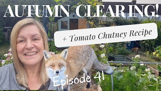 Episode 41  Autumn Clearing and Tomato Chutney Recipe [upl. by Nolham]