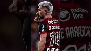 flamengo football maracana orgulhodeserrubronegro viralvideo [upl. by Ynaffet114]