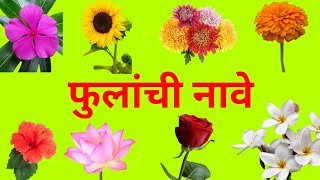 फुलांची नावे Flowers name name of flowers flowers name in English and Marathi [upl. by Akamahs400]