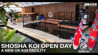 Shosha Koi Open Day  New UK Koi Facility [upl. by Krissy]