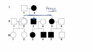 Pedigrí  Khan Academy en Español [upl. by Aerehs]