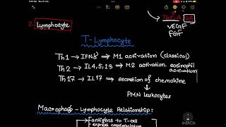 Chronic and Granulomatous Inflammation [upl. by Ahsirtap908]