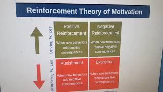 Reinforcement Theory [upl. by Myrtie]