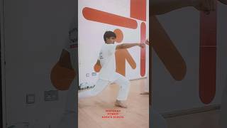 Karate shotokan training basic fast techniques  Usu 🙇‍♂️ [upl. by Sivram]