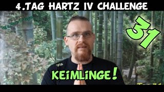 Tag 31 veganTag 4 Hartz IV Challenge Keimlinge amp Motivation [upl. by Misti]