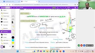 Auricles Exam Mastery Live Class Anatomy about Lower Limb by Dr Ankit [upl. by Jaddan]