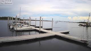 Steinhatchee River Webcam [upl. by Larochelle854]