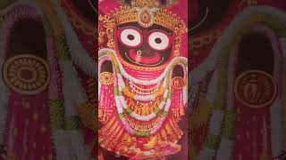 Subha darsana prabhu jagatara naatha jay jagannatha 🙏🙏 [upl. by Rahab]