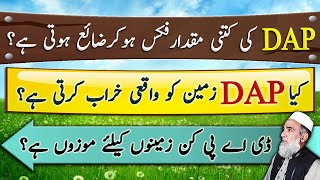 Is DAP Fertilizer harmful for Soil Health  Crop Reformer [upl. by Uball]