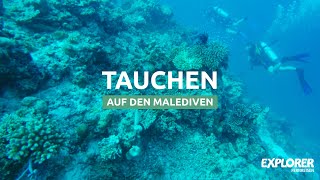 Malediven Tauchen  Malediven Unterwasserwelt GoPro [upl. by Claus]