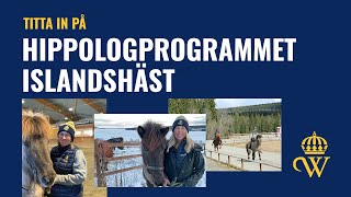 Hippologprogrammet islandshäst på Wången [upl. by Lesslie]