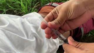 Outdoor Farm Injection vlog part 2  B9U INJECTIONS [upl. by Yelsehc]