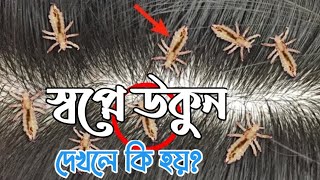 স্বপ্নে উকুন দেখলে কি হয়  স্বপ্নে উকুন মারলে কি হয়  sopne ukun dekhle ki hoy [upl. by Alistair]