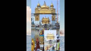 waheguruwaheguru ❤🙏🙏🌹🌹🌹🌹🌹youtubeshorts [upl. by Tomkin]