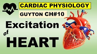 Ch10 Physiology Guyton  Excitation of HEART  Sinus Node  Pace Maker  Cardiac Physiology [upl. by Friedman]