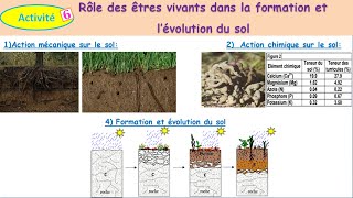 Rôle des êtres vivants dans la formation et lévolution du sol TCSF شرح بالداريجة [upl. by Sherurd]