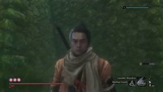 Sekiro water glitch [upl. by Stempien]